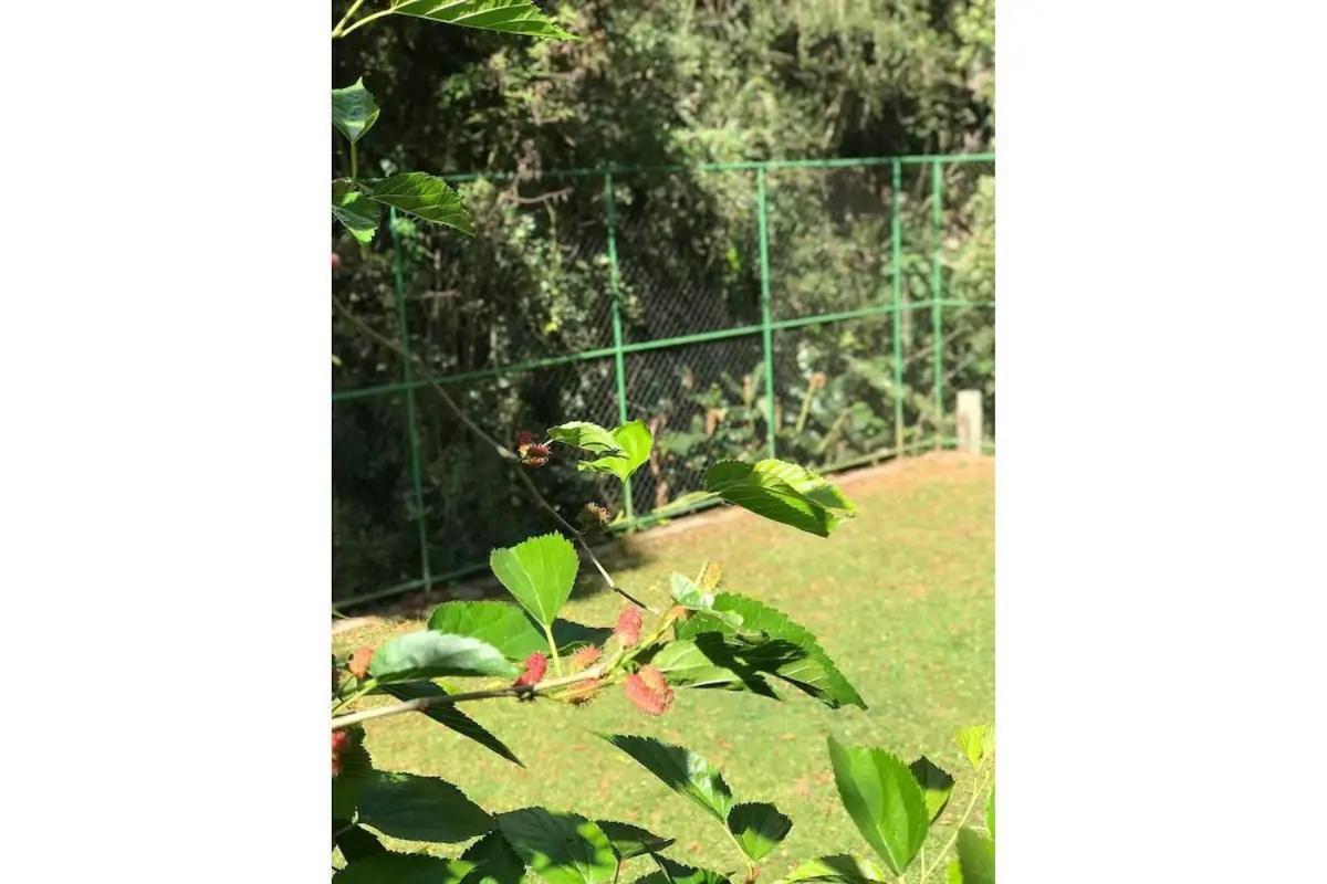 Willa Casa Nas Montanhas Com Ofuro Campos do Jordão Zewnętrze zdjęcie